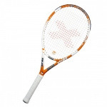 529ed6a16ecf39_Strike-500x500