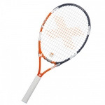 529ed9c31cd7c19_X-Team-1.25-500x500