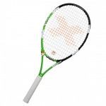 529ed9ff095f220_X-Team-1.35-500x500